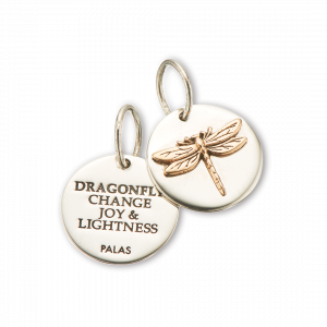 Charm Love & Luck Silver/Bronze