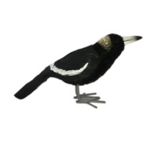 Aussie Bird Ornament