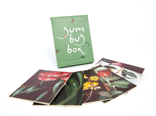Boxed Mini Cards Gum Bug
