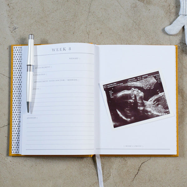 Pregnancy Journal 9 Months