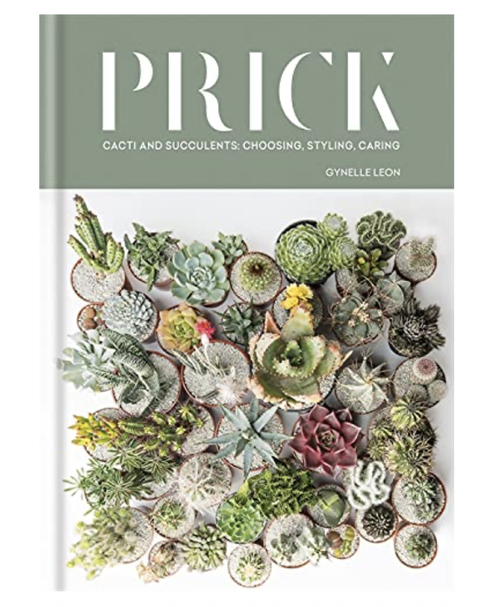 Prick: Cacti and Succulents