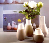 Mini Vase Set Of 4