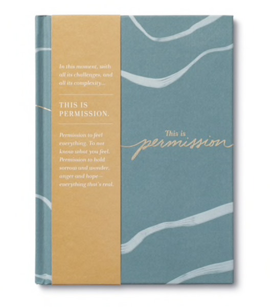 This Is Permission Book