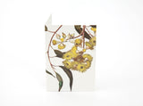 Boxed Mini Cards Florist